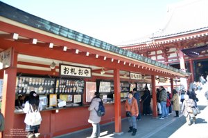 20180110111124_NIKON D7100.jpg